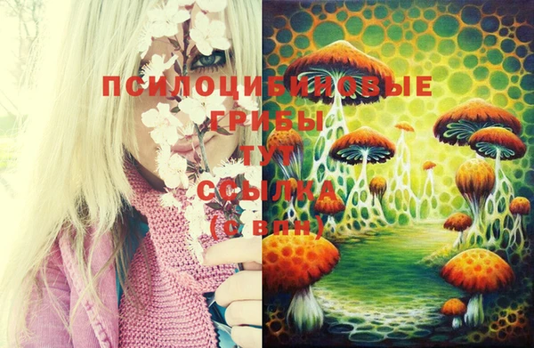 марихуана Белокуриха