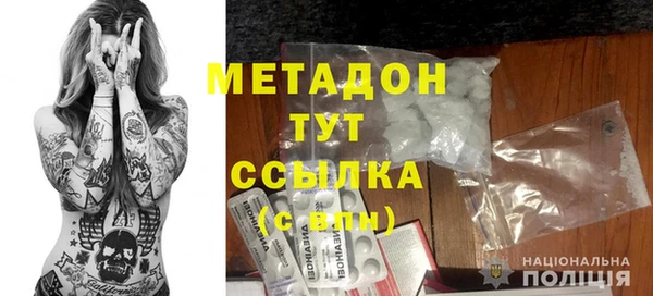 прущие грибы Богданович